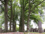 Joodse Begraafplaats Vroomshoopseweg